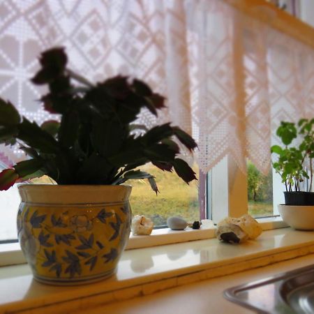 Guesthouse Kalfafellsstadur Kalfafellsstathur 외부 사진