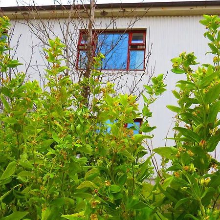 Guesthouse Kalfafellsstadur Kalfafellsstathur 외부 사진