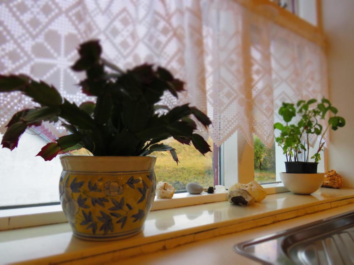 Guesthouse Kalfafellsstadur Kalfafellsstathur 외부 사진