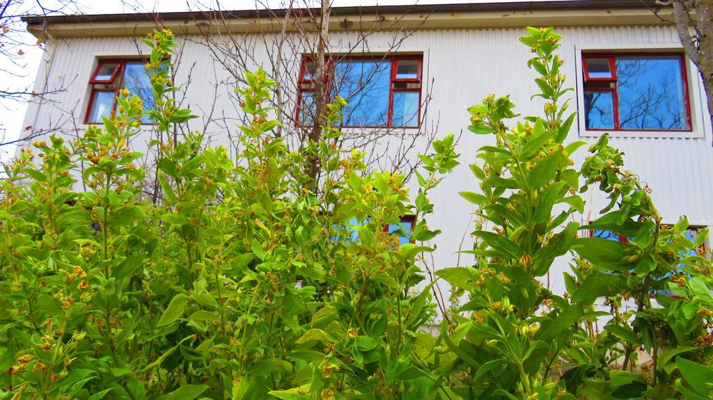 Guesthouse Kalfafellsstadur Kalfafellsstathur 외부 사진