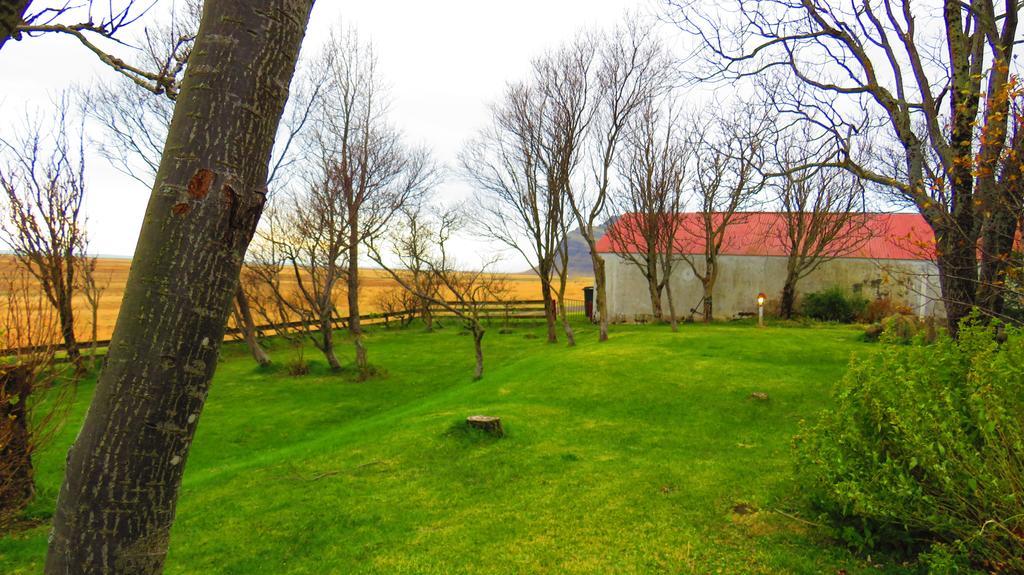 Guesthouse Kalfafellsstadur Kalfafellsstathur 외부 사진