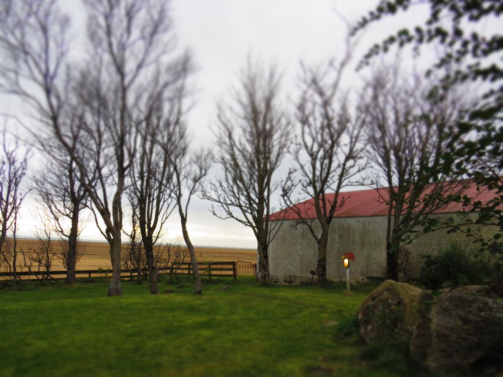 Guesthouse Kalfafellsstadur Kalfafellsstathur 외부 사진
